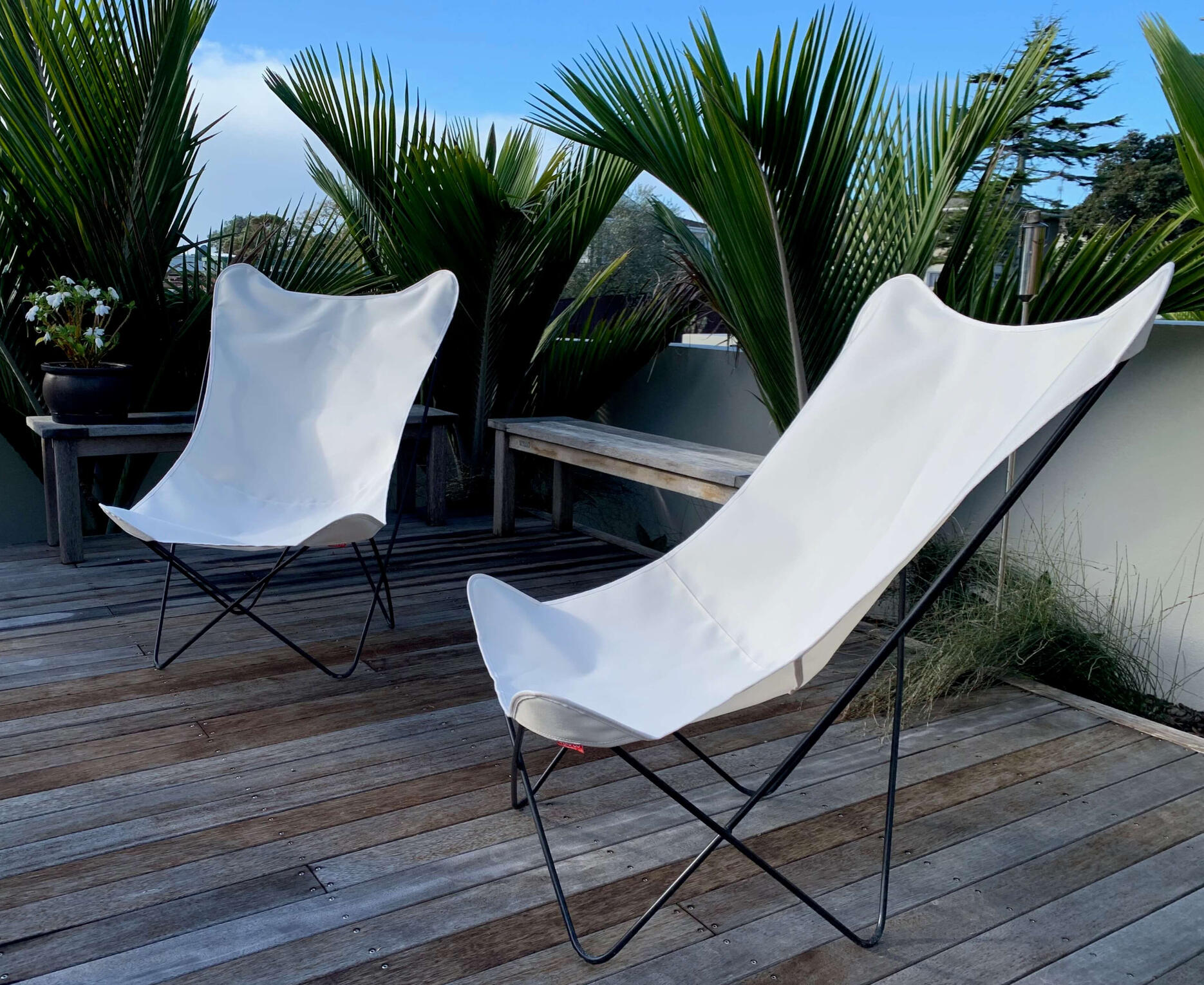 White Butterfly chairs